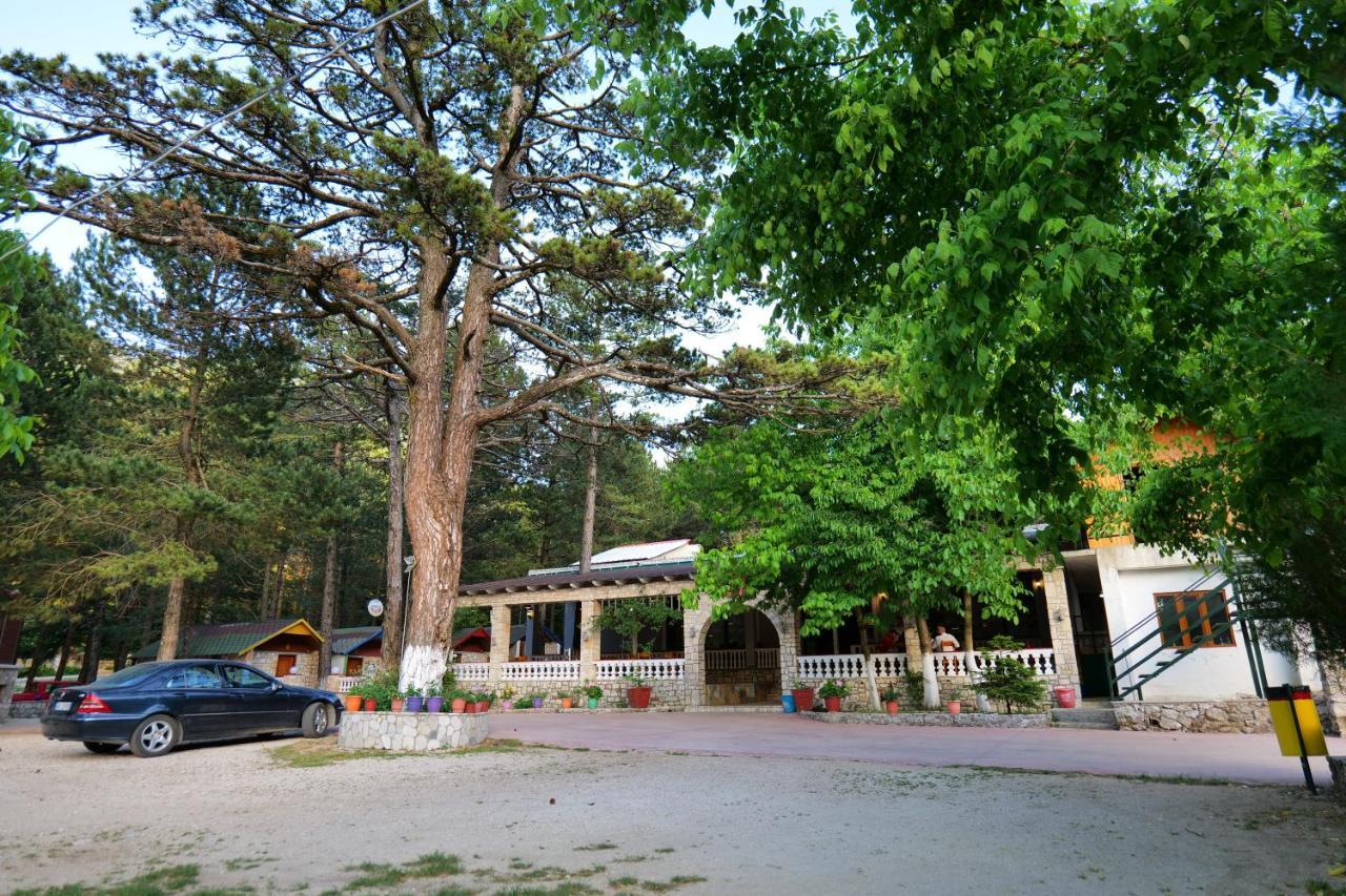 Guesthouse Hamiti Llogara Dukat 外观 照片